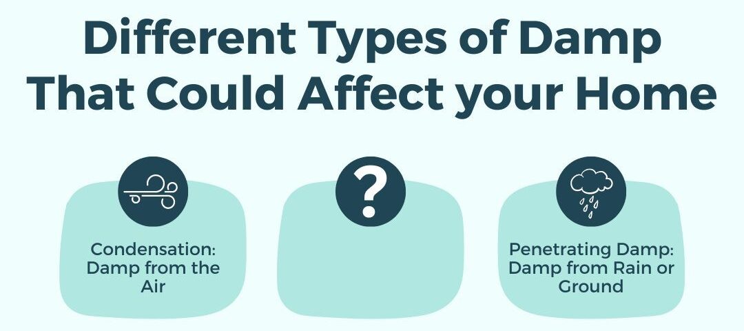 Different types of damp that could be in or affect your home