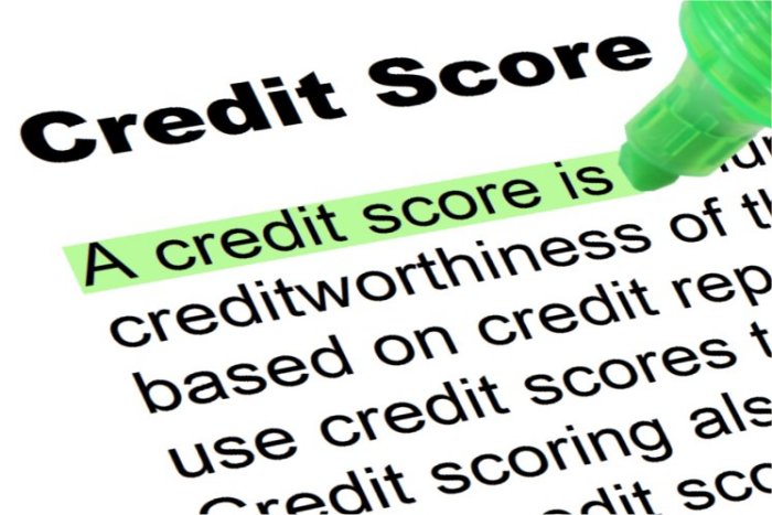 Everything you need to know about your credit report
