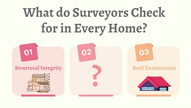 What do surveyors check for in every home