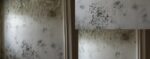 Types of dampness that can appear in a house